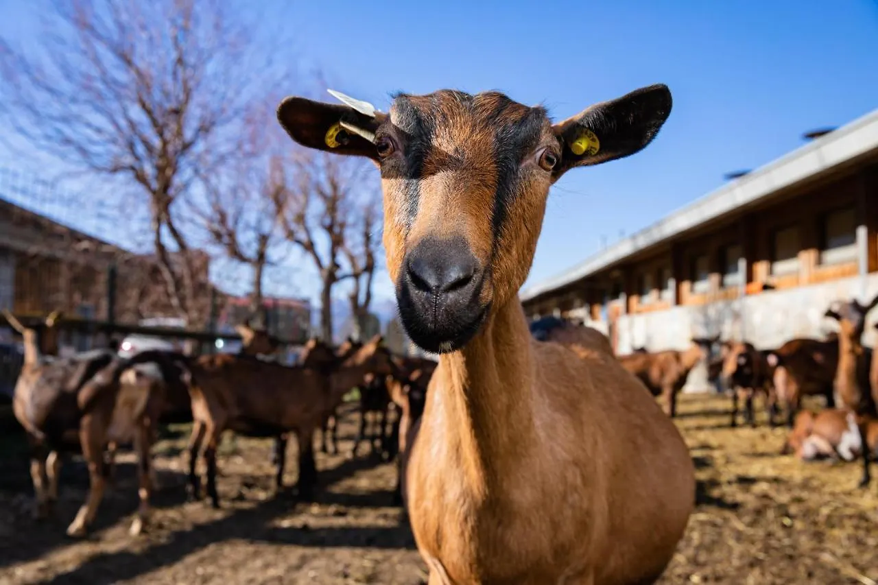 Agriturismo La Fiorida Villa Mantello Italy